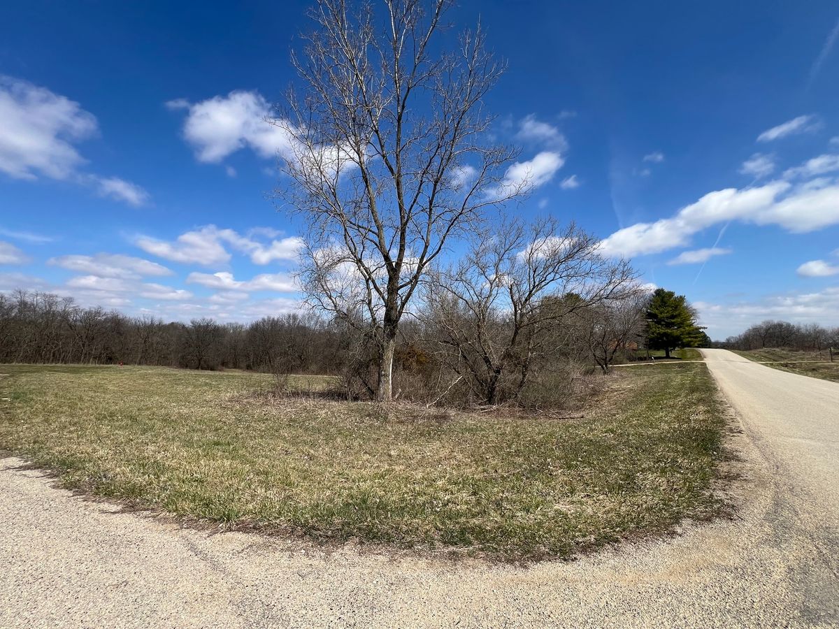 226 Fox Court, Apple River, IL 61001