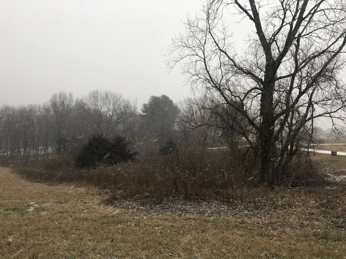 226 Fox Court, Apple River, IL 61001
