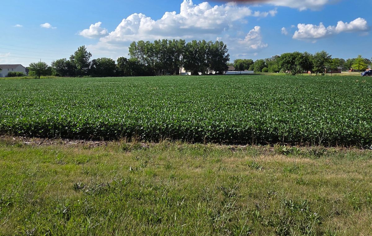 580 Walnut Street, Oglesby, IL 61348