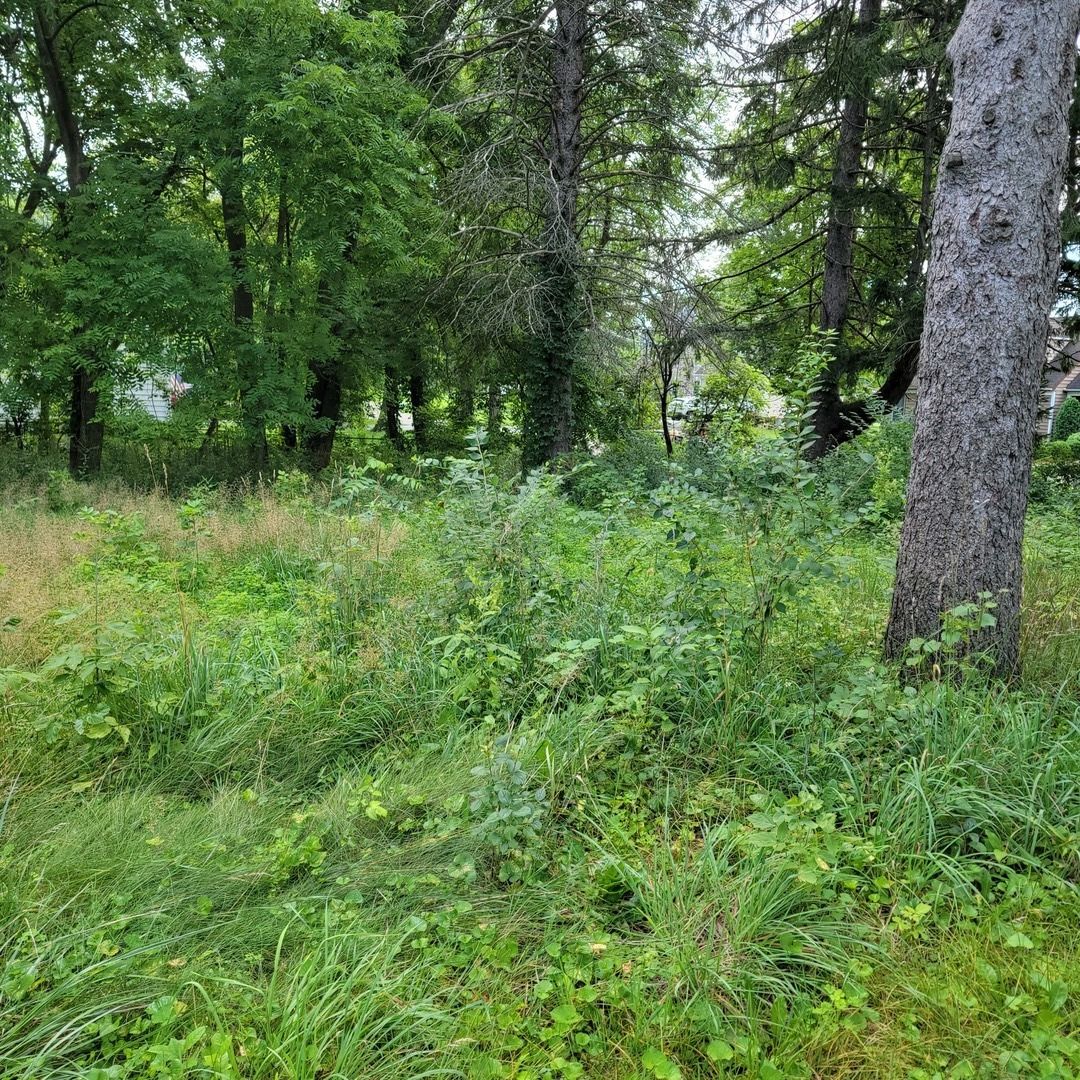 25570 W High Street — Wauconda, IL 60084