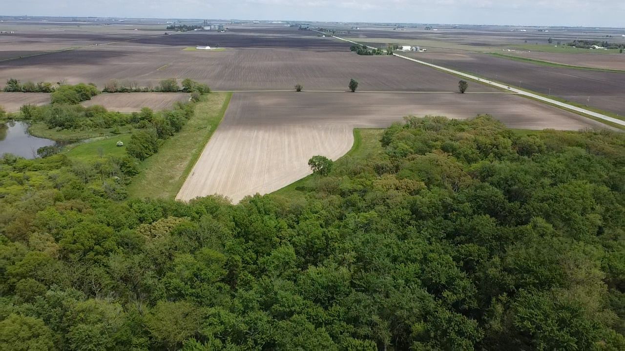 Lot C Highway 136 Highway — Fisher, IL 61843