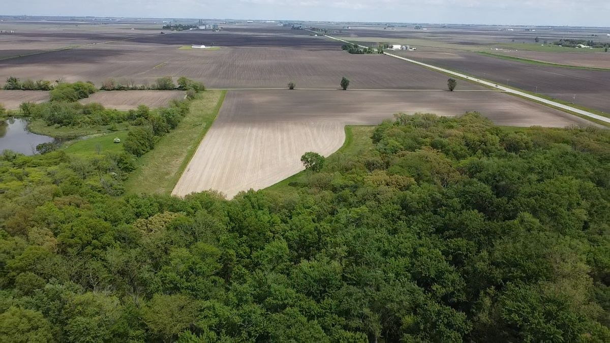 Lot C Highway 136 Highway, Fisher, IL 61843