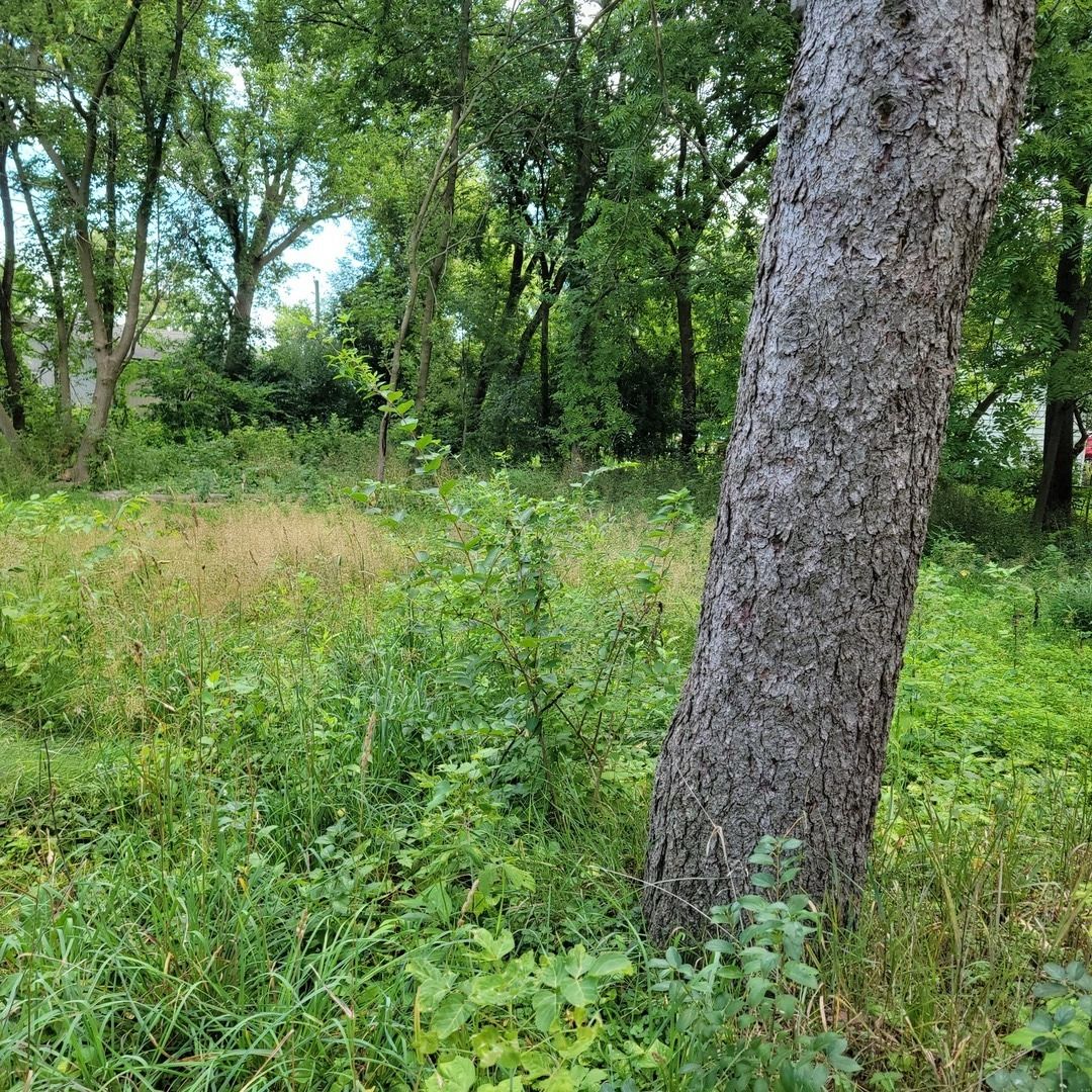 25586 W High Street W — Wauconda, IL 60084