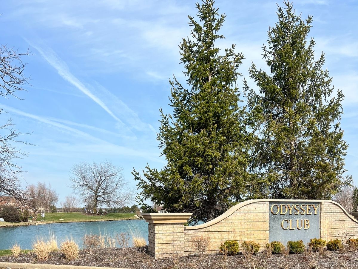 123 Iliad Drive, Tinley Park, IL 60477