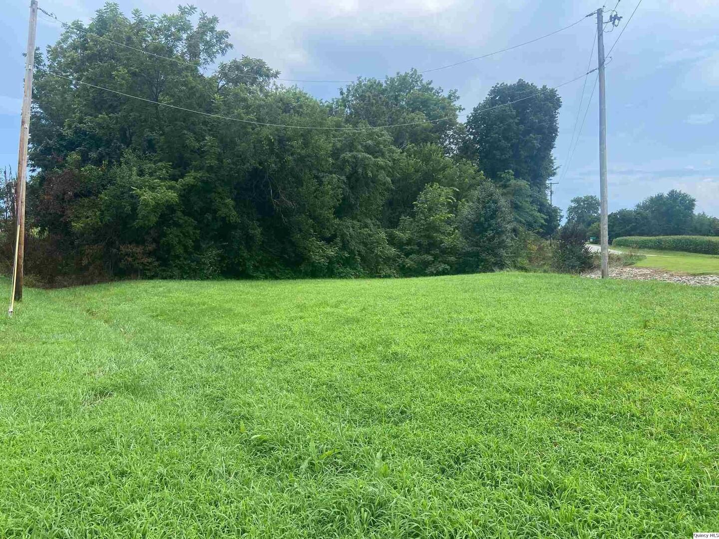.031 ac m/l E Angle St — Plainville, IL 62365