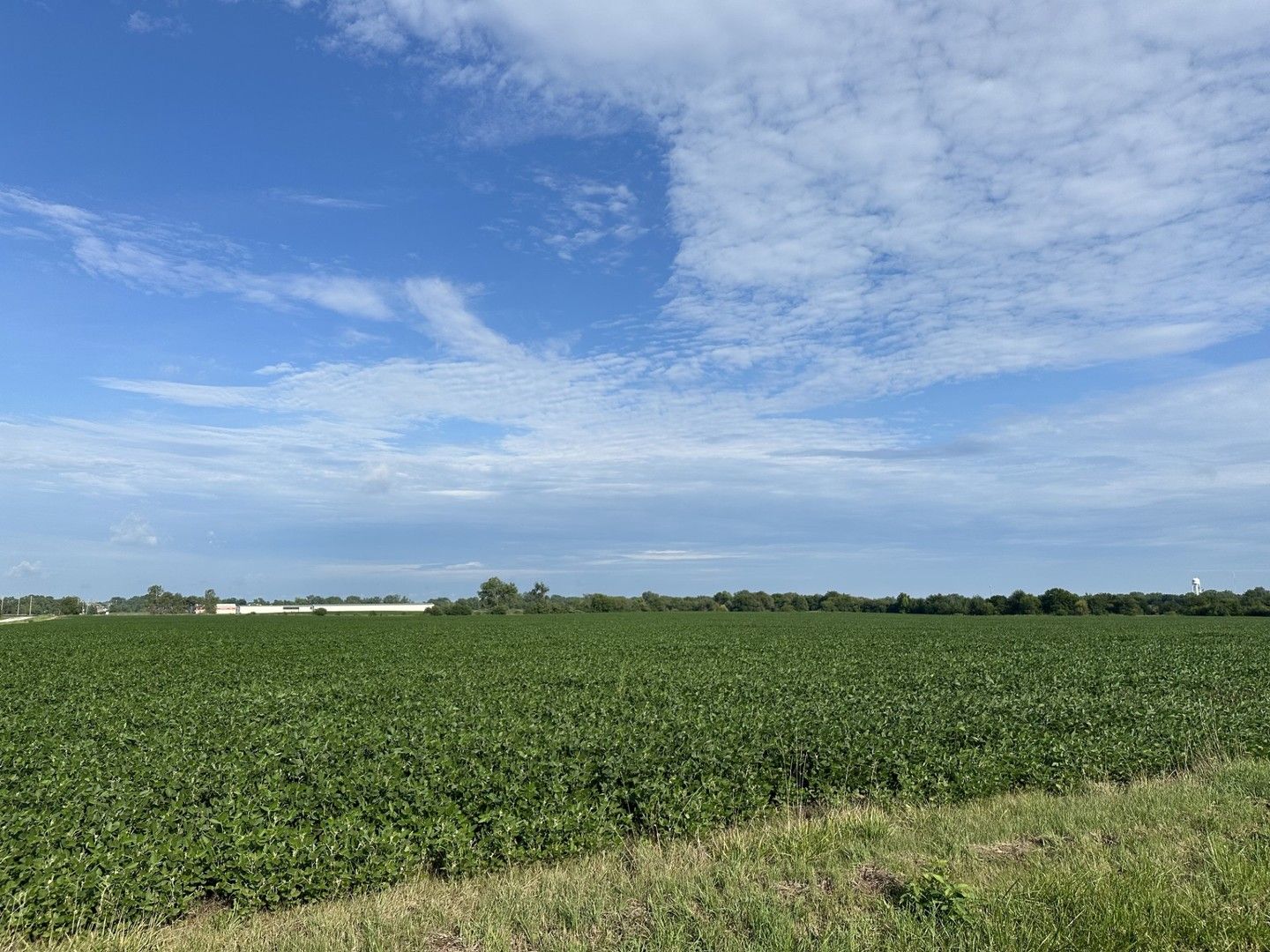 30 Acres Church and Racine Avenue — Beecher, IL 60401