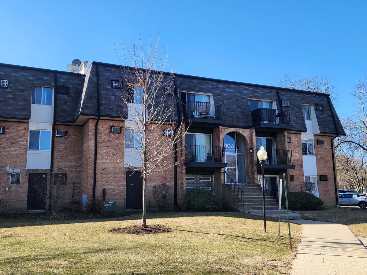 10A DUNDEE QUARTER Drive, Palatine, IL 60074