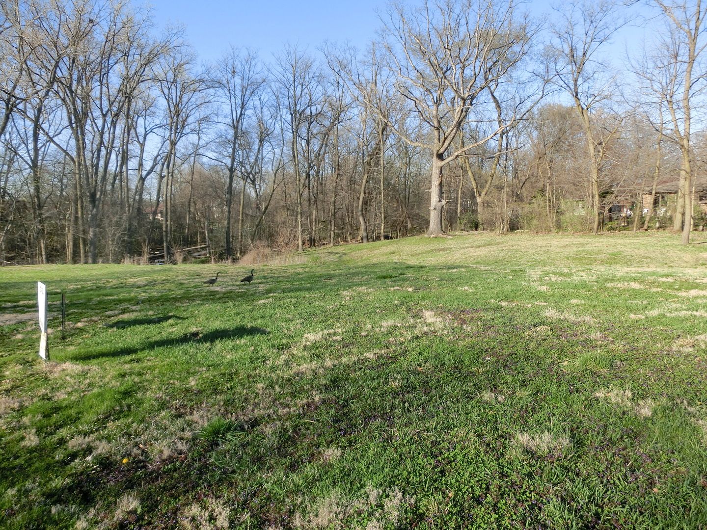16966 FOREST GLEN Drive — Tinley Park, IL 60477