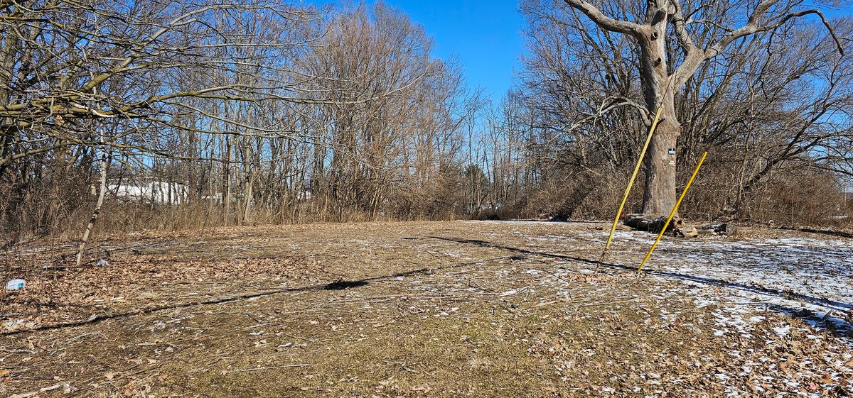 402 Griggs Street, Urbana, IL 61801