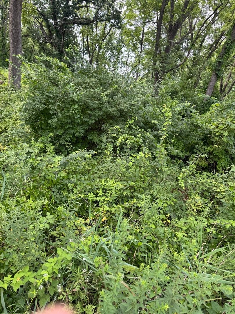 10 Chateau Drive, West Dundee, IL 60118