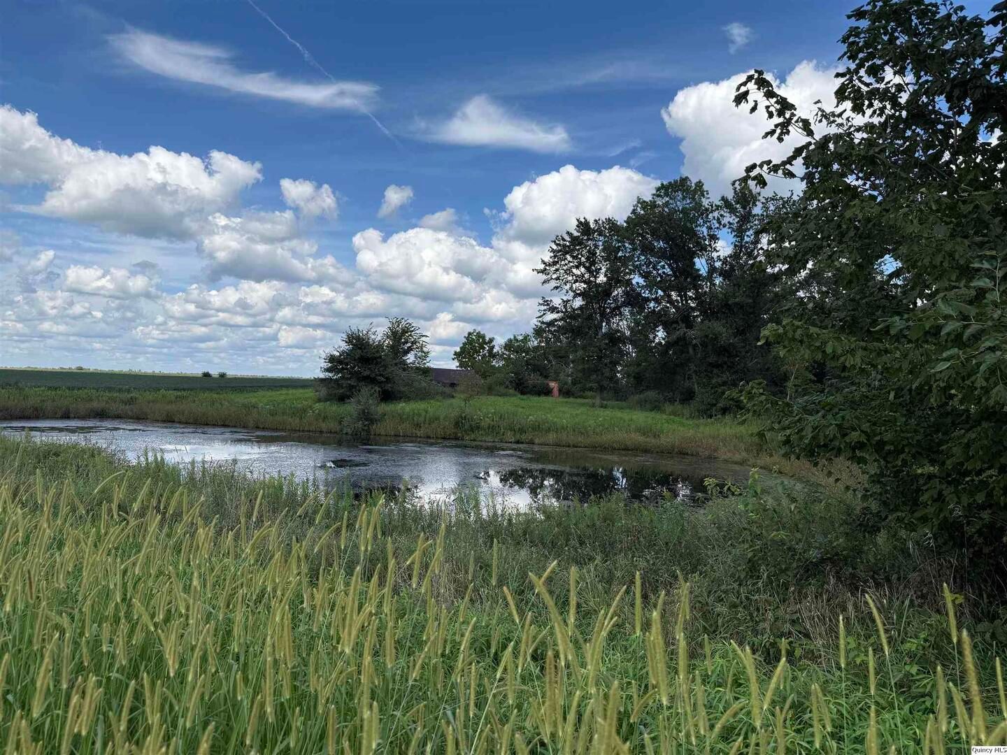 2476 N 2500 — La Harpe, IL 61450