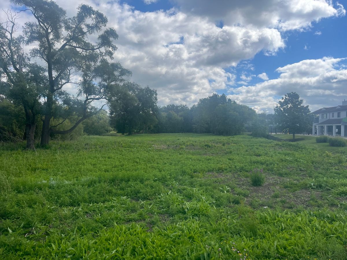 20611 N Illinois Route 21, Riverwoods, IL 60015