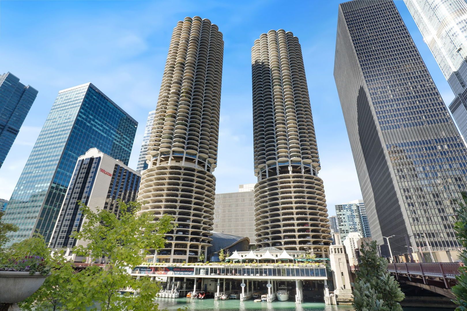 300 N State Street #4135 — Chicago, IL 60654