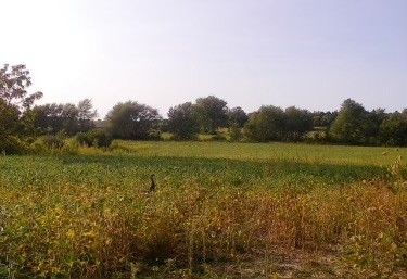 Lot 8 80th Avenue, Monee, IL 60449