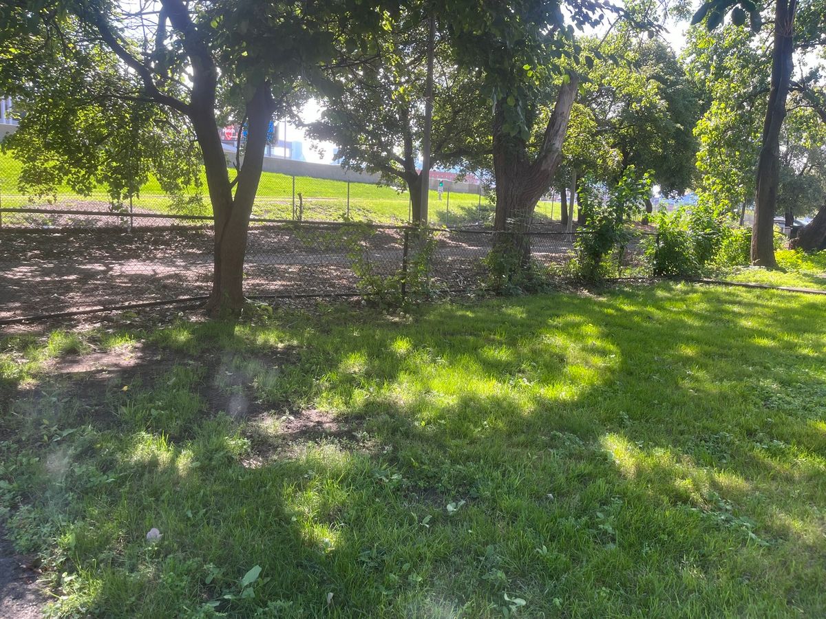 1337 Haddon Avenue, Chicago, IL 60622