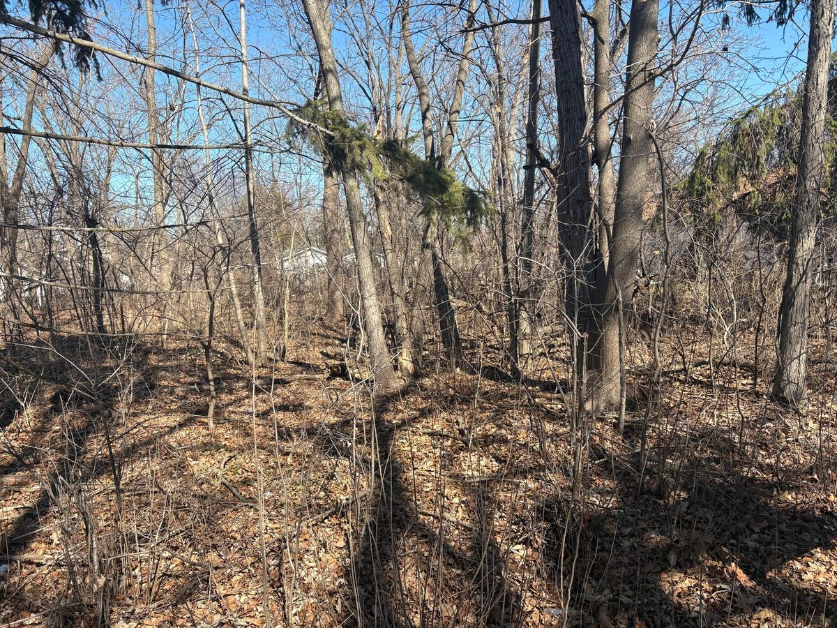 25118 Catherine Avenue, Antioch, IL 60002