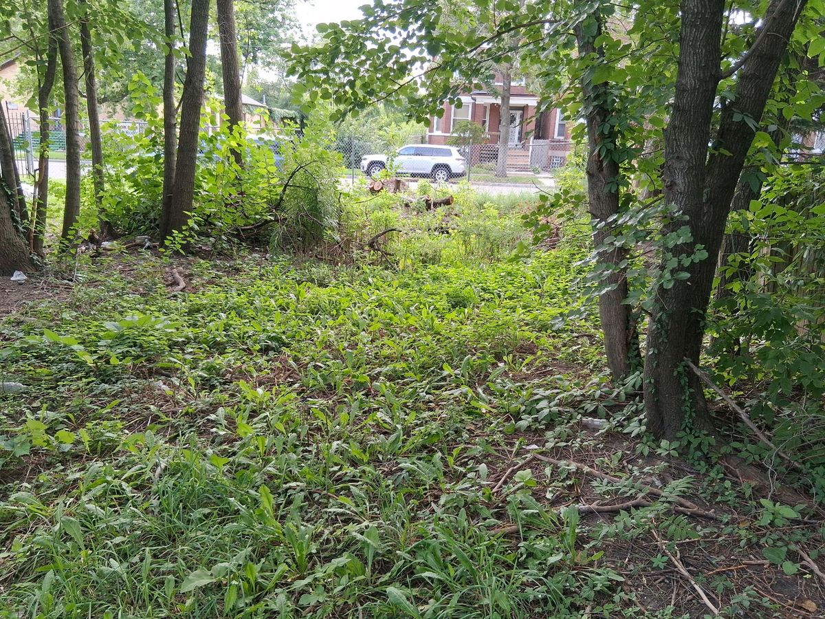 7149 Champlain Avenue, Chicago, IL 60619