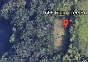 599 N Plum Tree Road — Barrington Hills, IL 60010