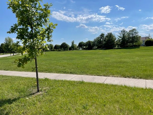 25102 Old Oak Lane — Shorewood, IL 60404