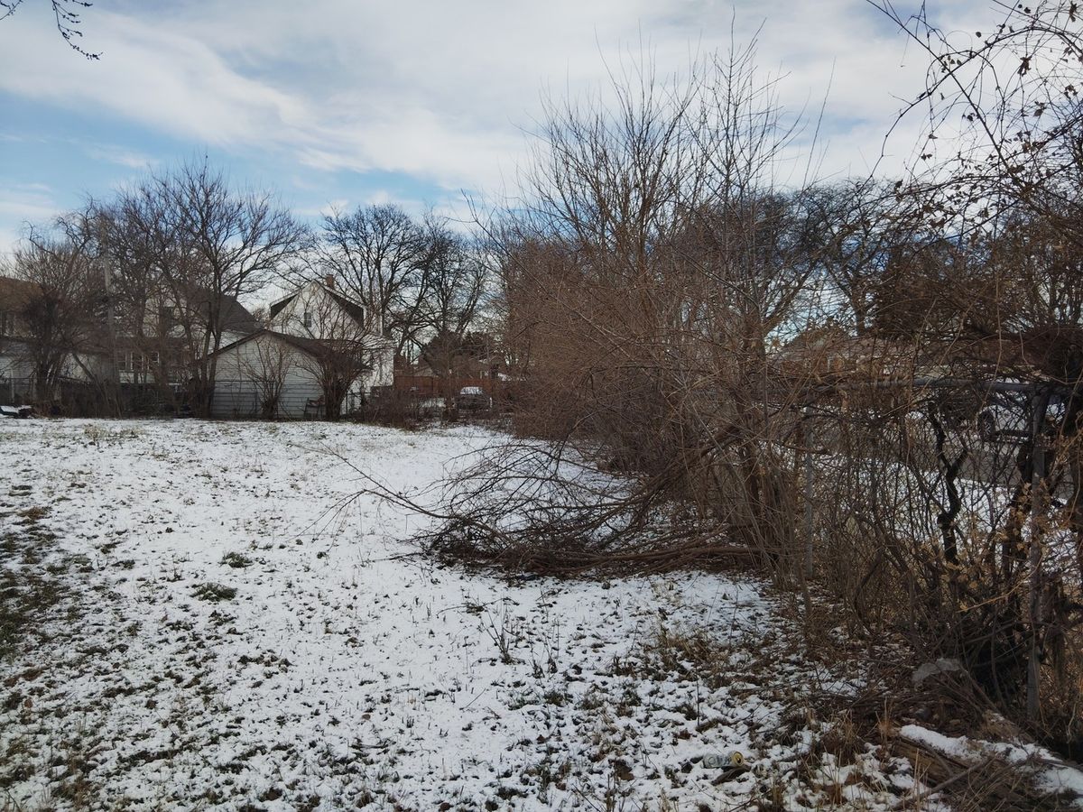 8702 Union Avenue, Chicago, IL 60620