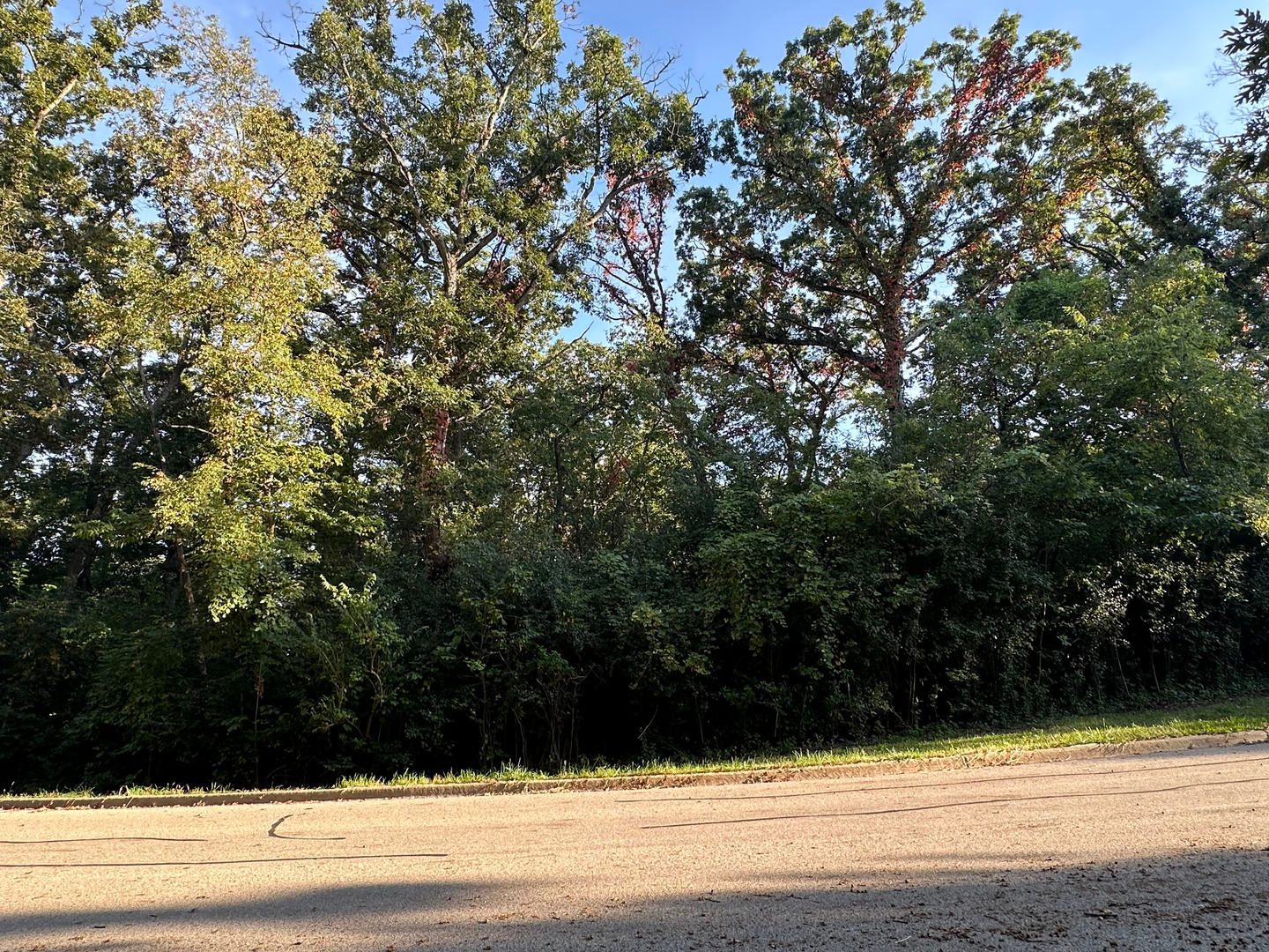 7319 Forest Oak Drive — McHenry, IL 60050
