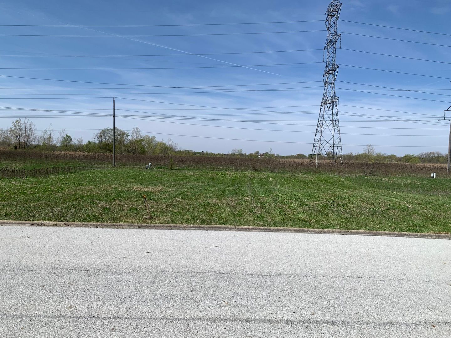 19676 Ambry Circle — Lynwood, IL 60411