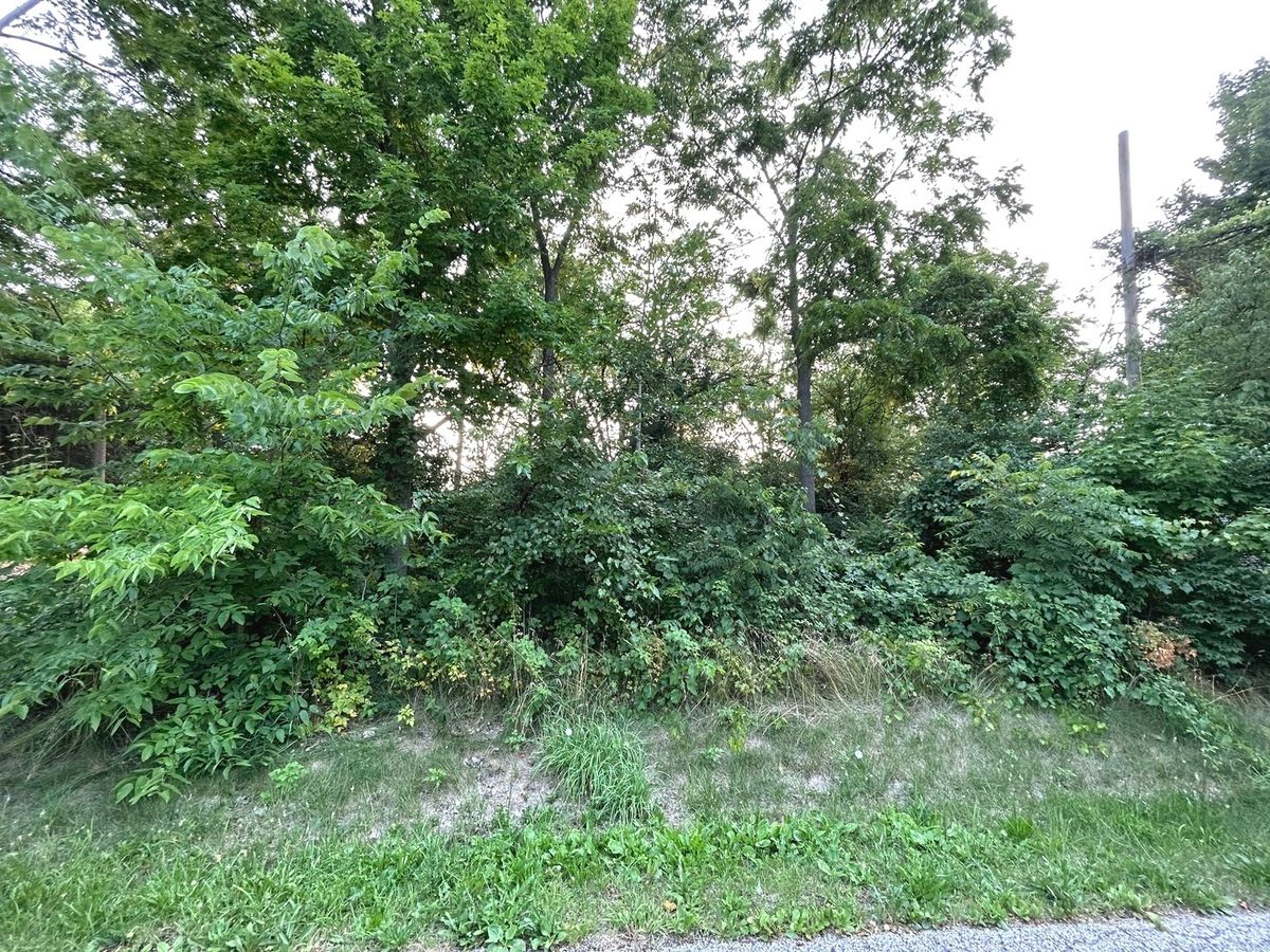 0 Lear Street, Wonder Lake, IL 60097