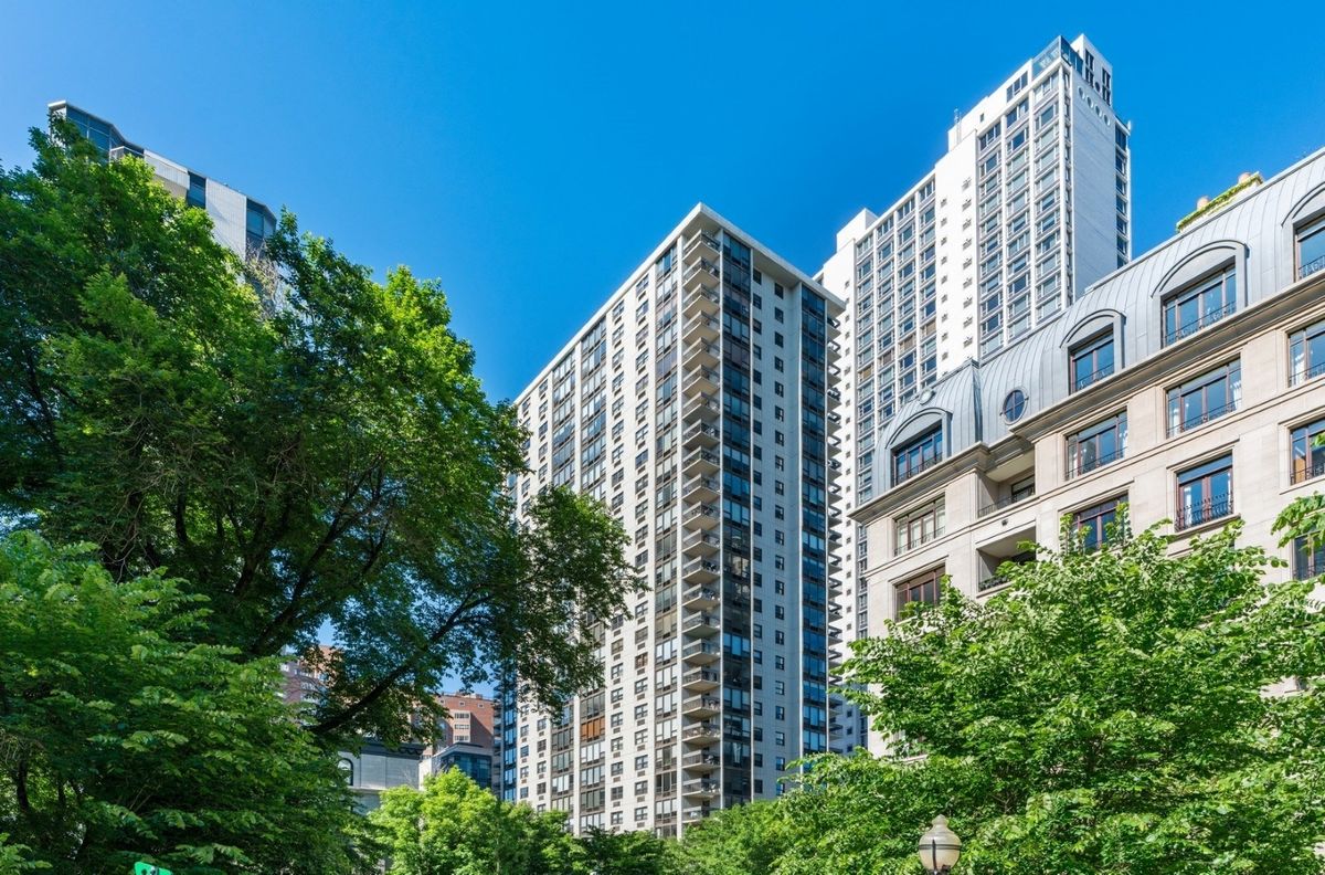 1313 RITCHIE Court, Chicago, IL 60610