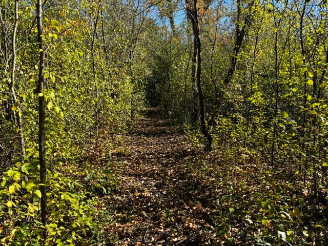 23976 Beach Grove Road, Antioch, IL 60002