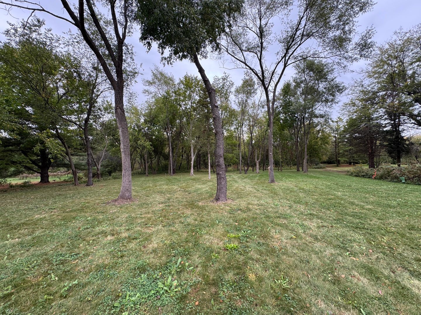 42W613 Meadowsweet Drive — Elburn, IL 60119