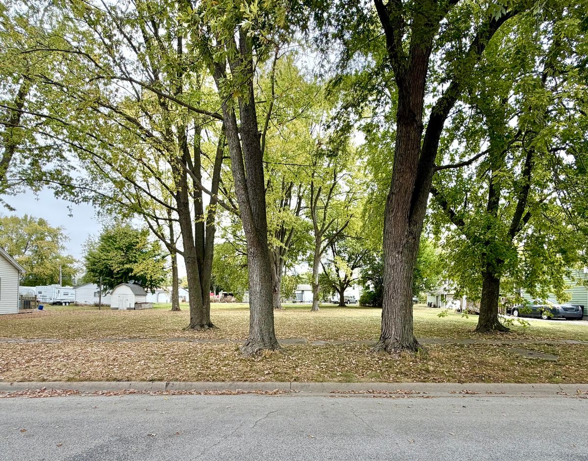 313 Orchard Street, Forrest, IL 61741