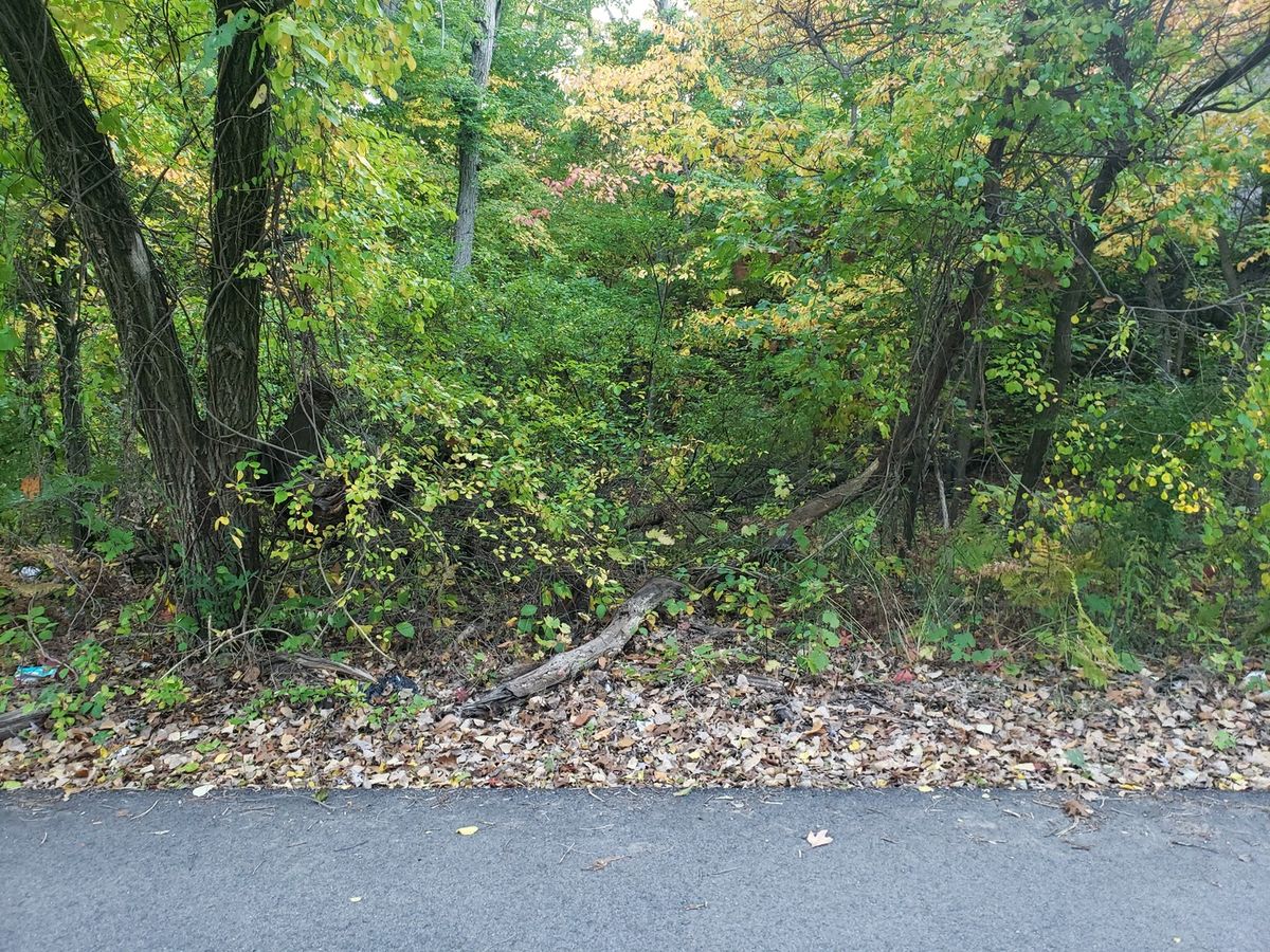 7411 Ash Avenue, Gary, IN 46403