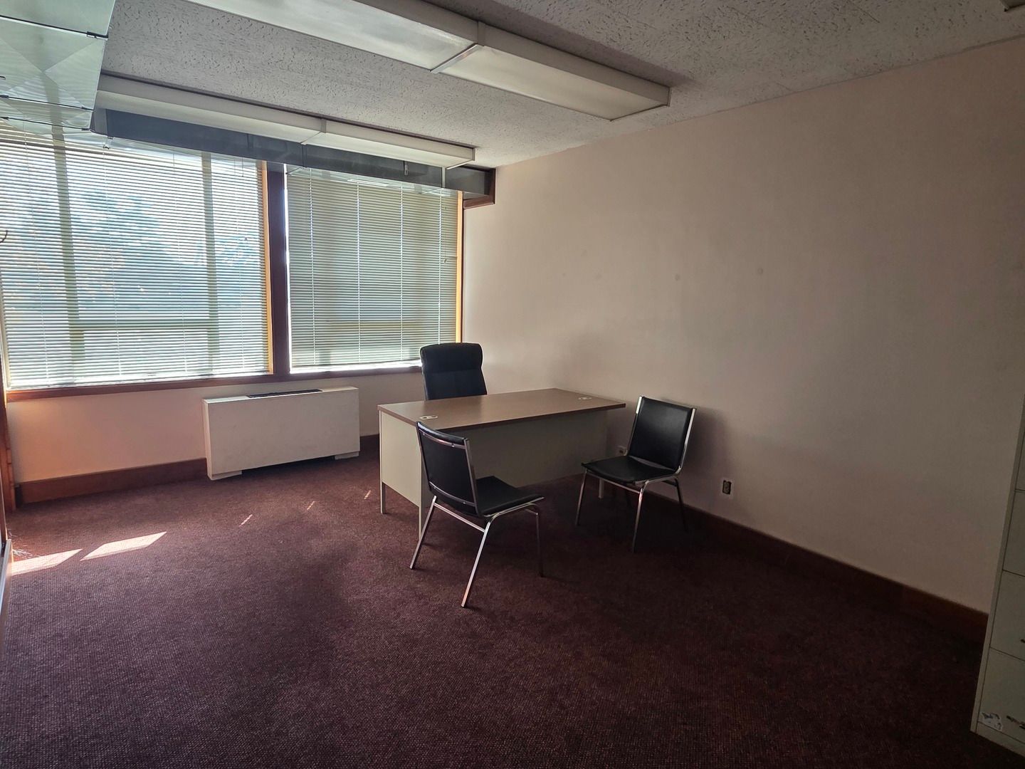 1400 W Anthony Drive #102 — Champaign, IL 61821