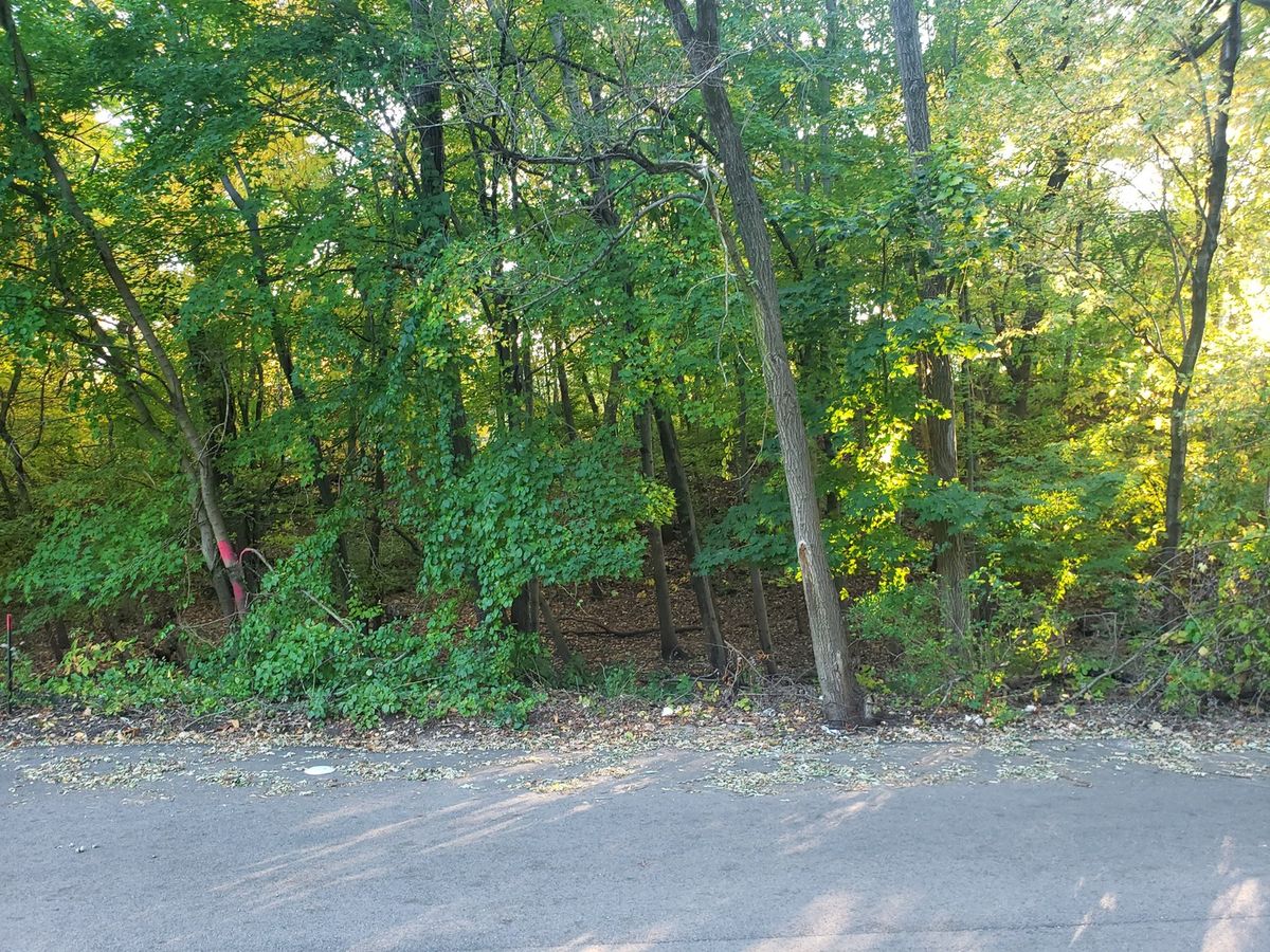 7321 Ash Avenue, Gary, IN 46403
