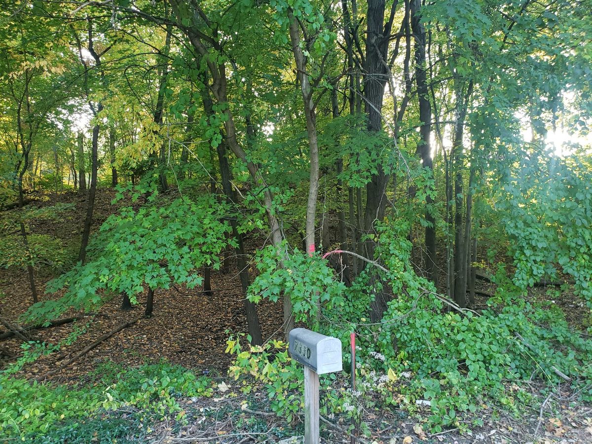 7321 Ash Avenue, Gary, IN 46403