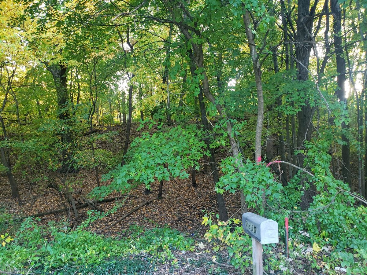 7321 Ash Avenue, Gary, IN 46403