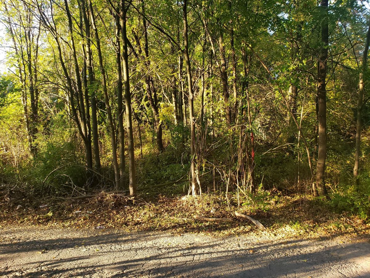 7234 Ash Place, Gary, IN 46403