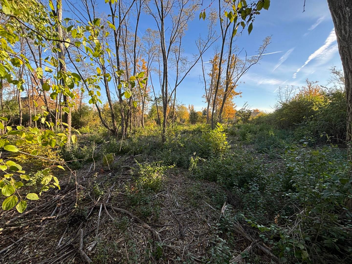 21647 Owens Road — Mokena, IL 60448