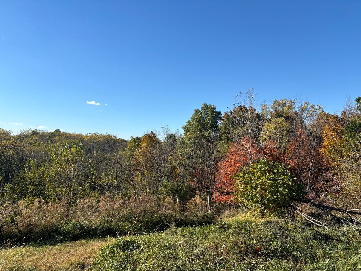 2110 60th Street, Monmouth, IL 61462