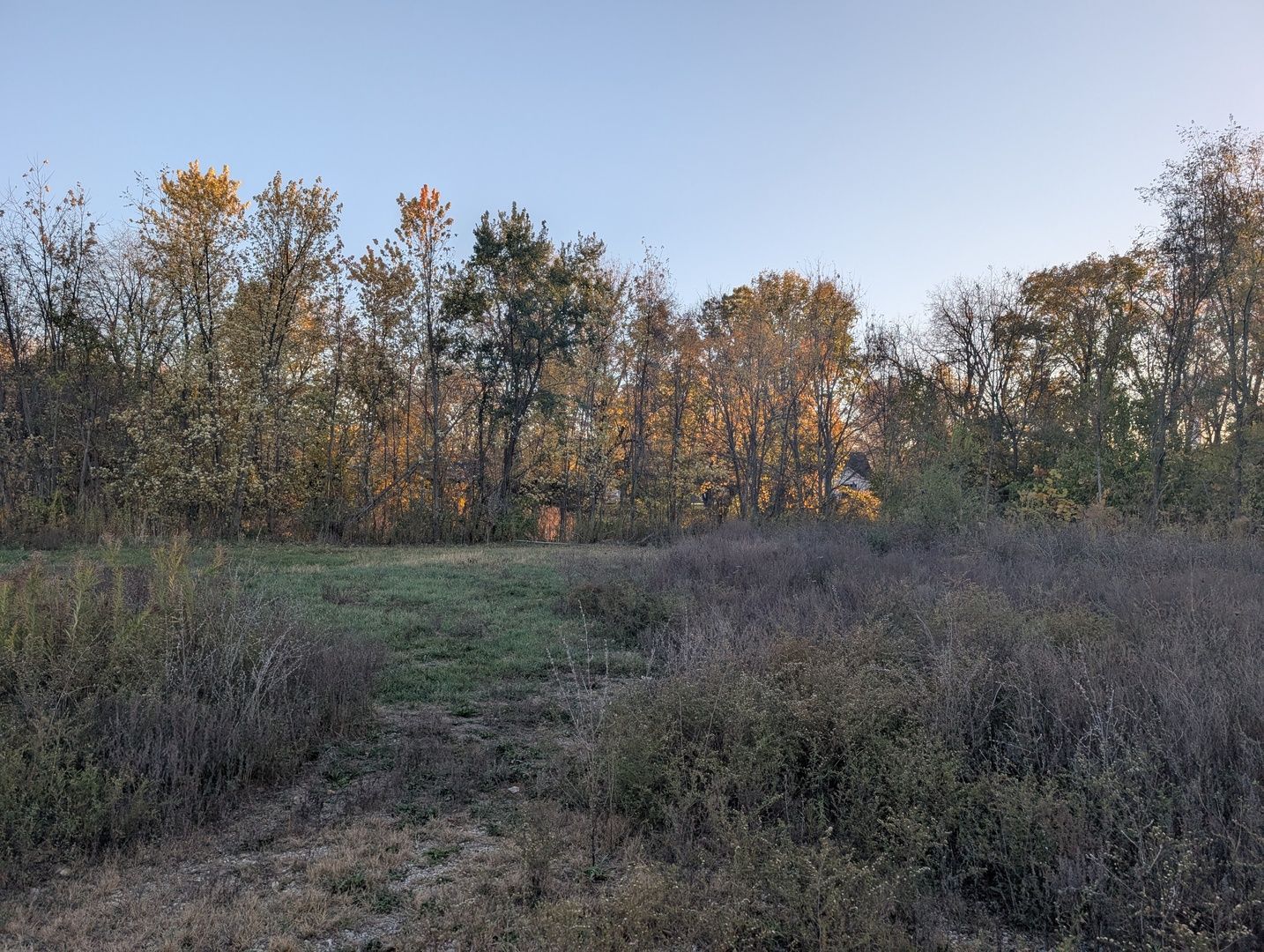 510 N Grove Street N — Farmer City, IL 61842