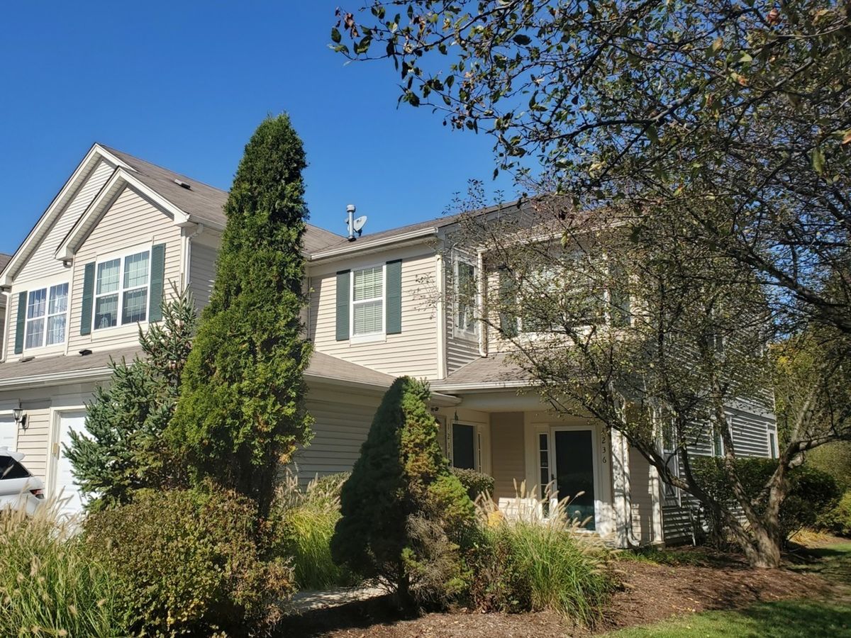 1236 Brookdale Drive, Carpentersville, IL 60110