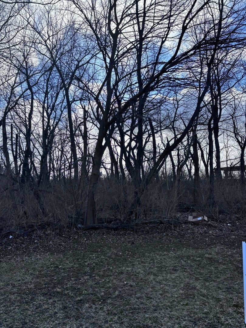 1859 Erin Lane — Morris, IL 60450