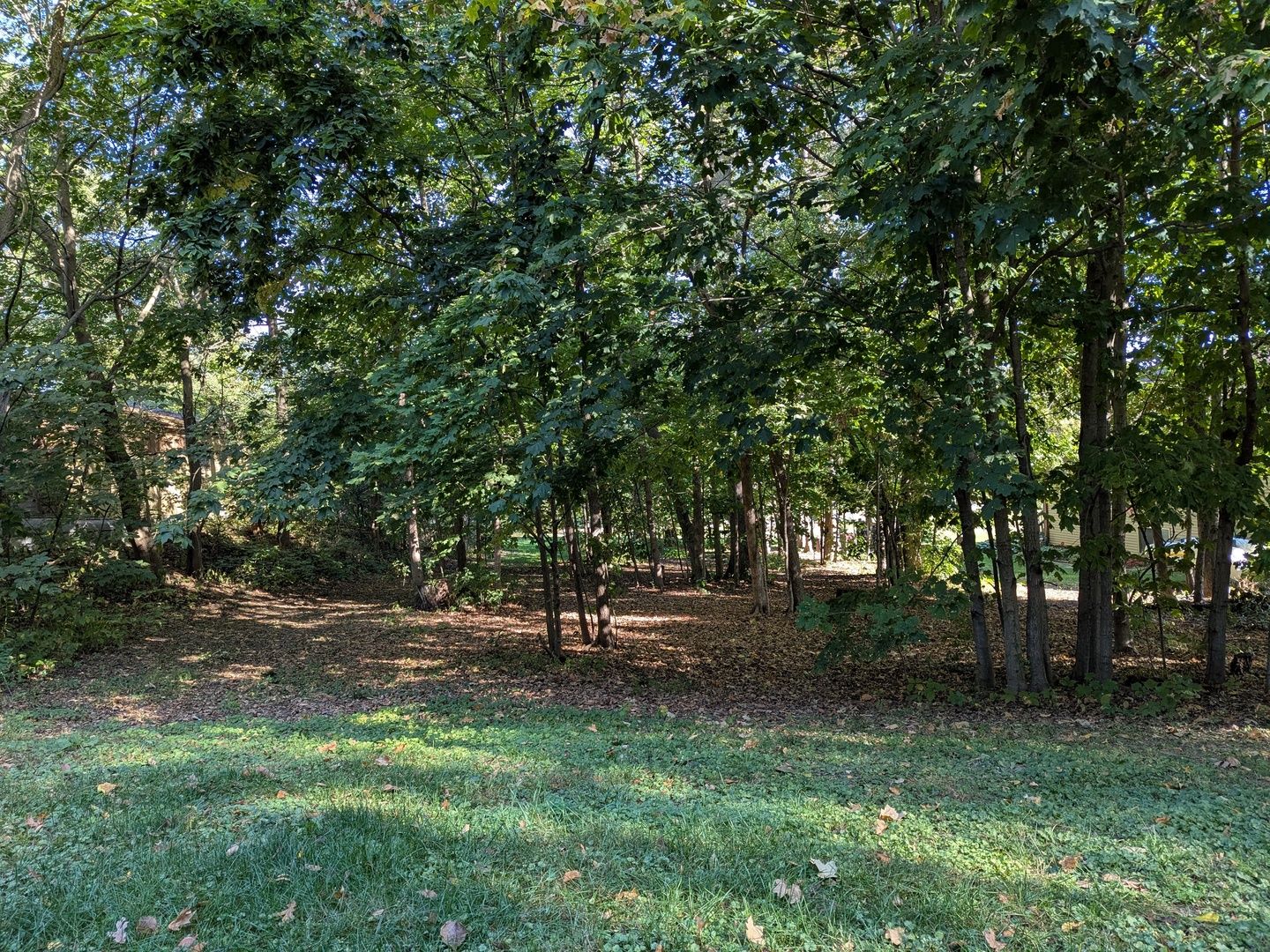 2185 Gainsboro Avenue — Davis, IL 61019