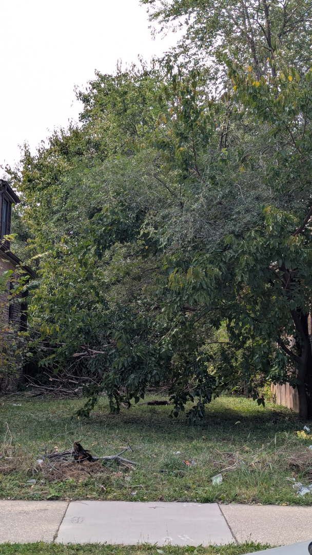 6722 Oakley Avenue, Chicago, IL 60636