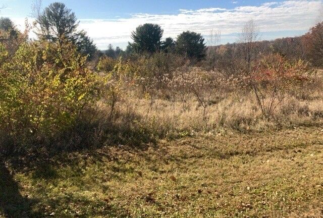 602 Cottonwood Court, Dixon, IL 61021