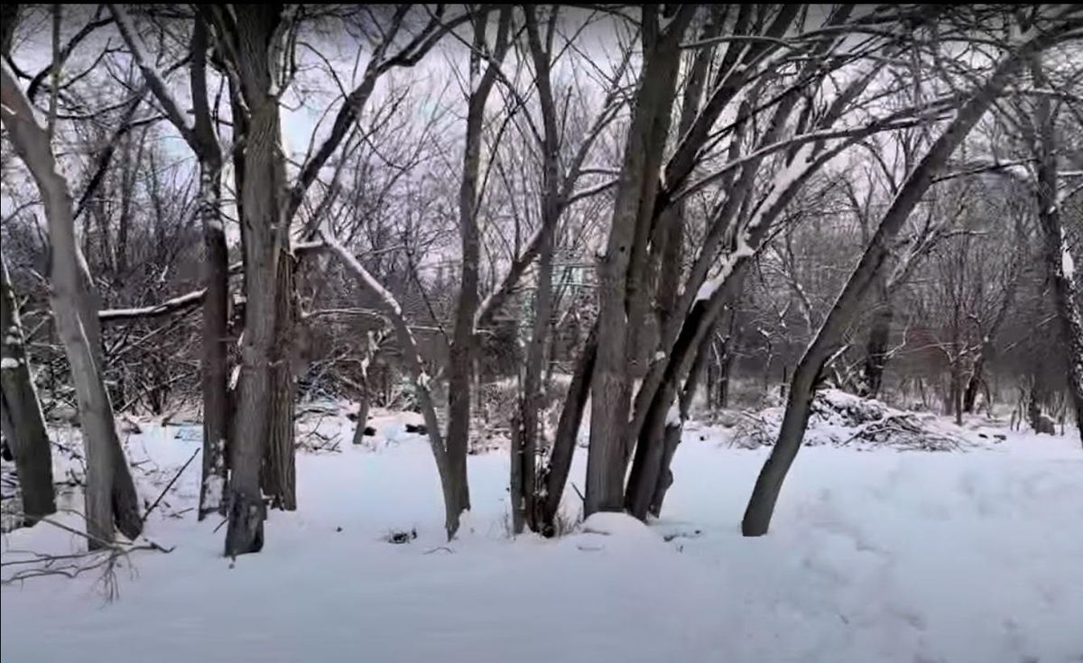 Vacant Heiden Avenue, Crest Hill, IL 60403