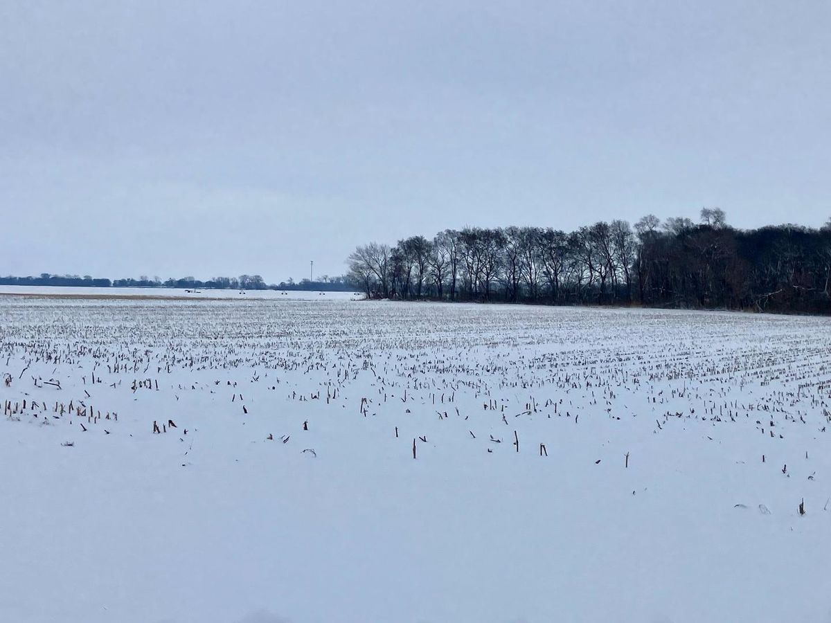 0 2nd Street, Tampico, IL 61283