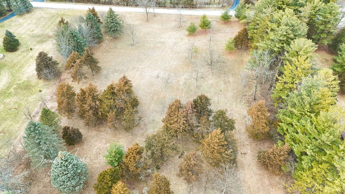 Lot 23 Sudburg Court, Bull Valley, IL 60098