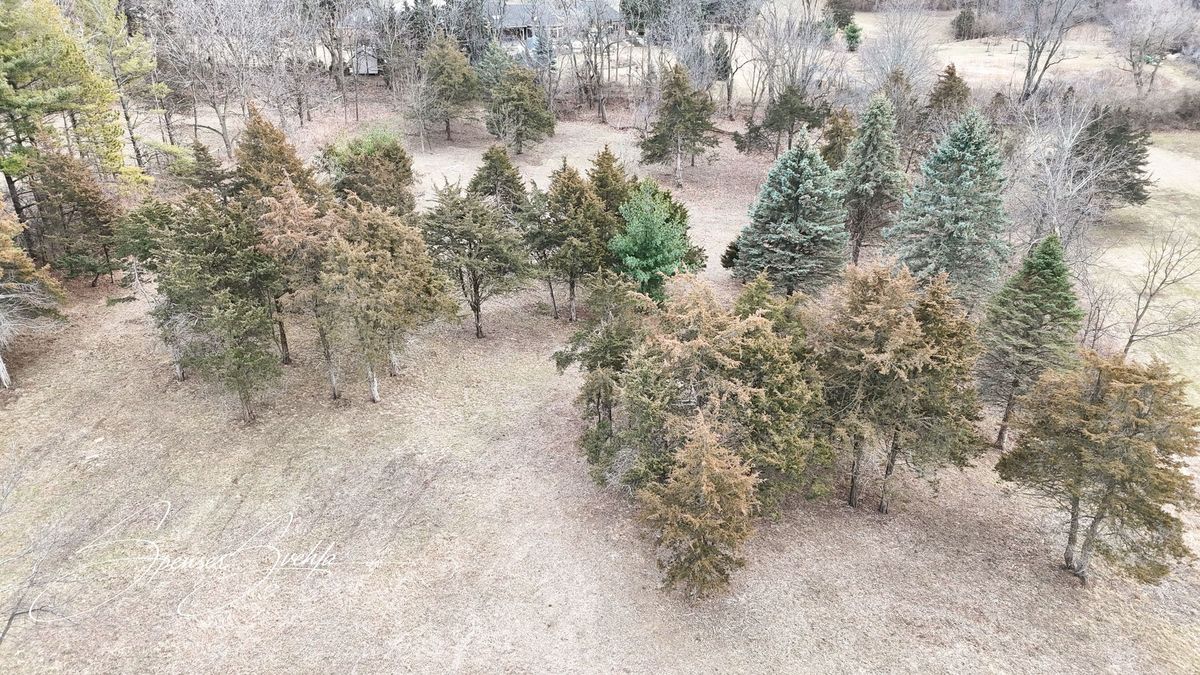 Lot 23 Sudburg Court, Bull Valley, IL 60098