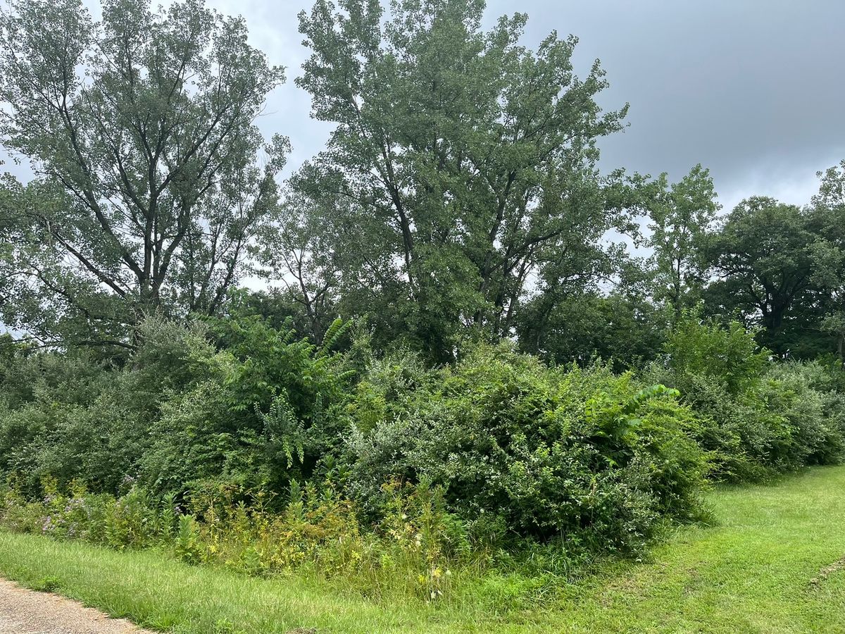 6 Walnut Drive, Putnam, IL 61560